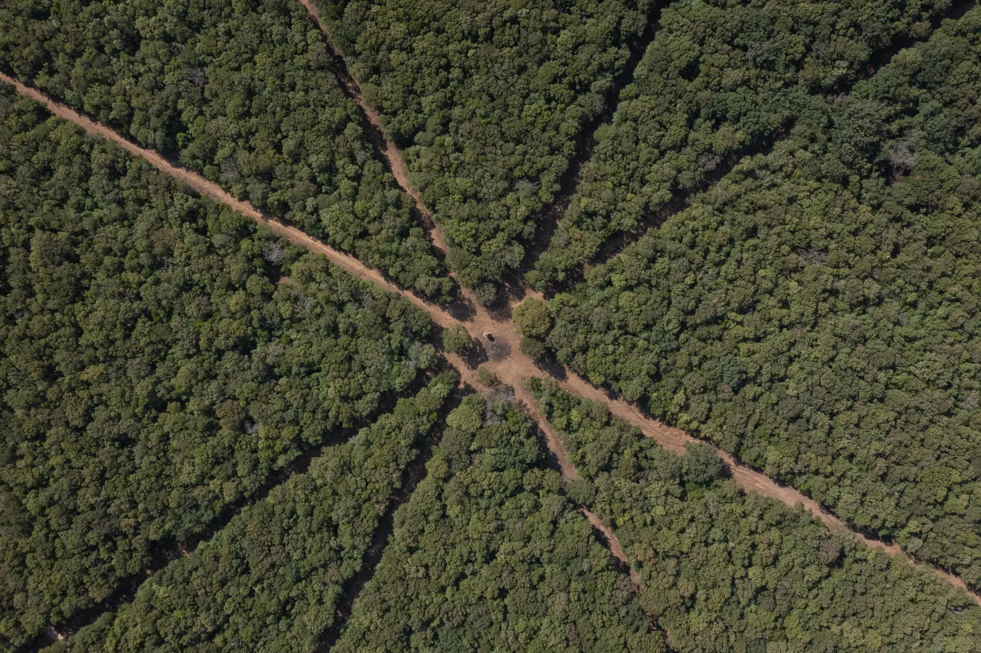 Hero background image